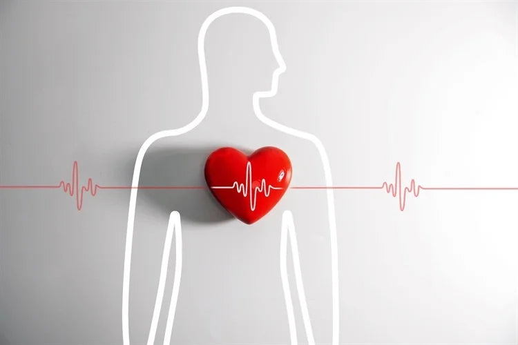 Top 25 Risk Factors For Cardiovascular Disease