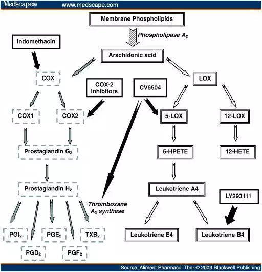 NSAIDs Aren’t Good For You!