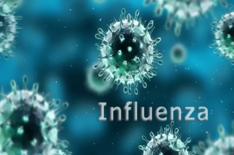 What is the flu?