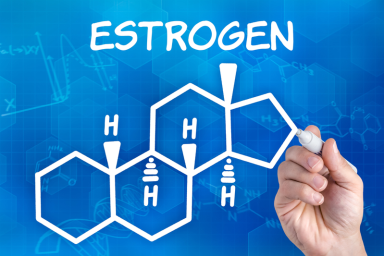 Human Estrogens