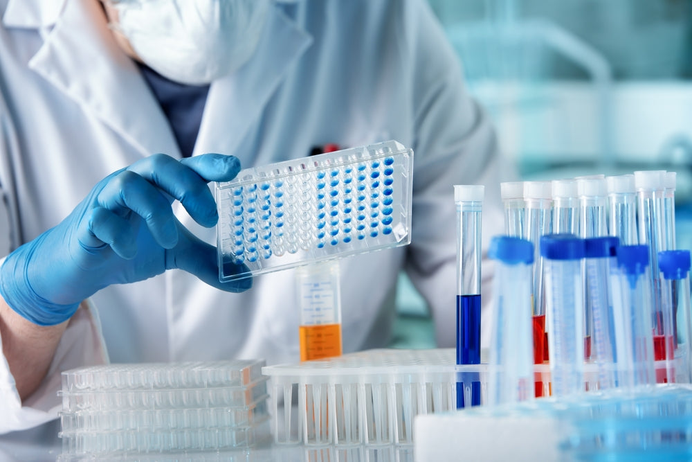 Elite Panel: Comprehensive Testing for Longevity & Prevention