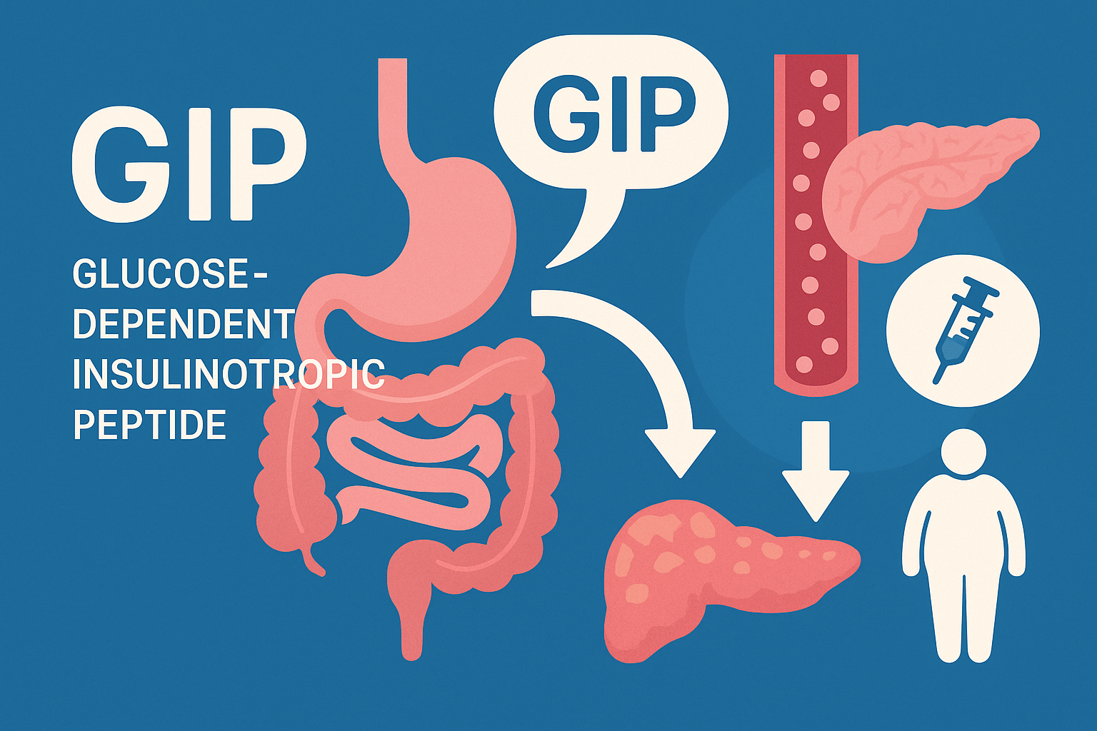 difference between gip and glp 1 What Is GIP? The Metabolic Hormone Fueling the Future of Weight Loss – Revolution Health & Wellness difference between gip and glp 1 What Is GIP? The Metabolic Hormone Fueling the Future of Weight Loss – Revolution Health & Wellness