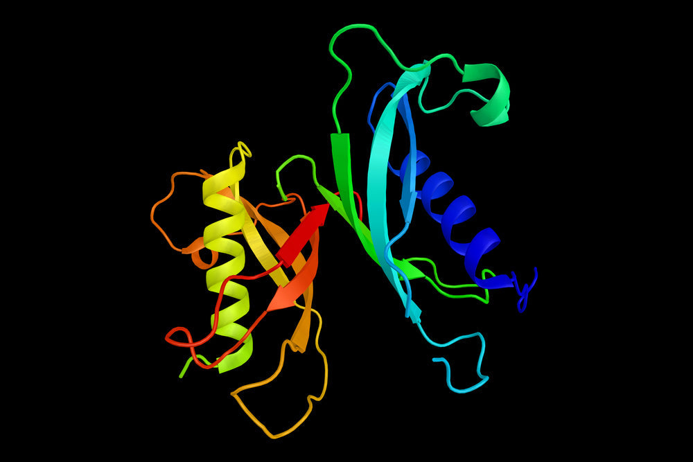 Peptide Therapy - LL-37