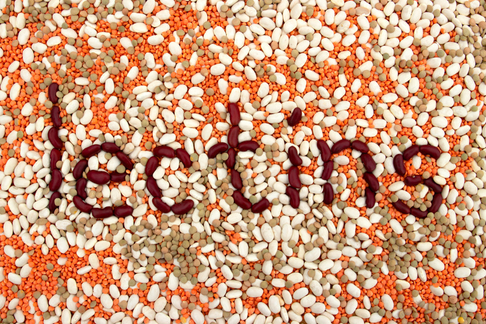 Lectin Zoomer Test: Discover Hidden Lectin Sensitivities and Heal Gut ...