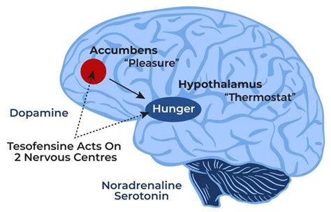 Tesofensine for Weight Loss & Metabolic Health: What You Need to Know