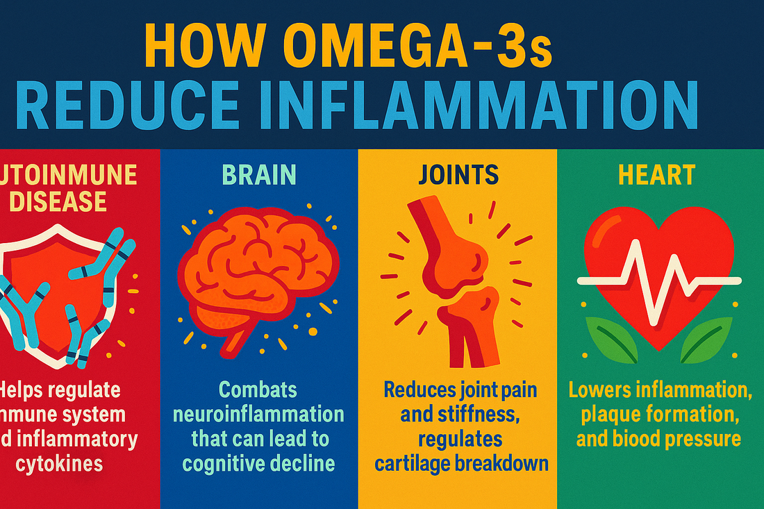 Can Omega-3s Reduce Inflammation? Science, Benefits & Best Supplements Can Omega-3s Reduce Inflammation? Science, Benefits & Best Supplements
