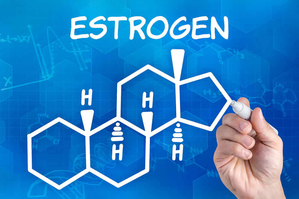 Human Estrogens