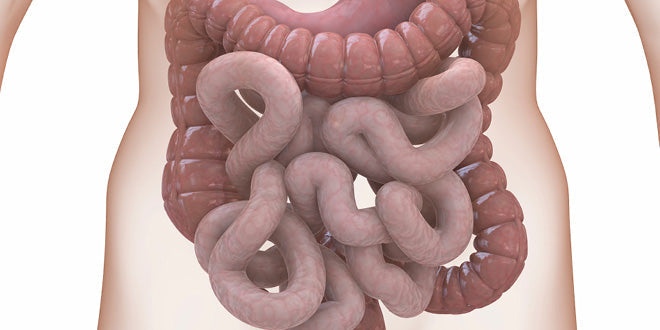 bpc-157 leaky gut or intestinal permeability Frontiers BPC-157 Peptide: Benefits for Healing,