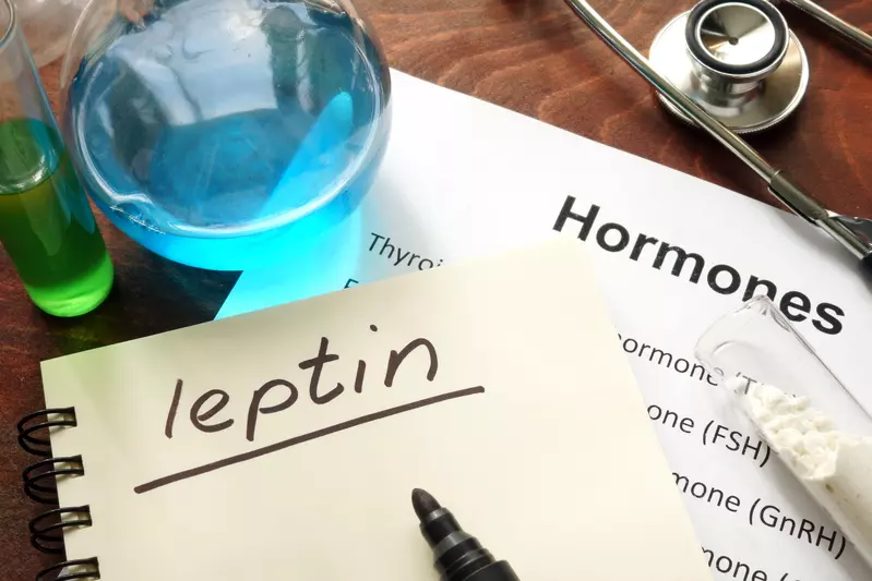 Insulin resistance labs leptin functional medicine