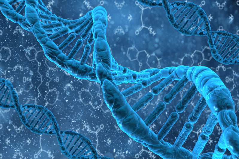 DNA double helix MTHFR gene folate folic acid