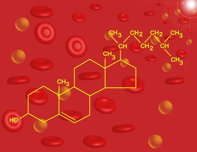 Revolution Health Cholesterol Lipid Structure