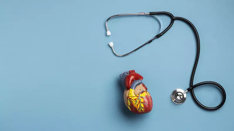 heart model with stethoscope